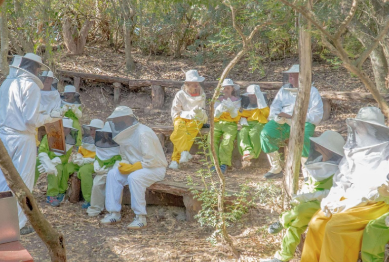 RanchoCortesano 768x519